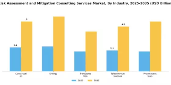 Risk Assessment and Mitigation Consulting Services Market Segment Image 3