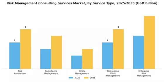 Risk Management Consulting Services Market Segment Image 4
