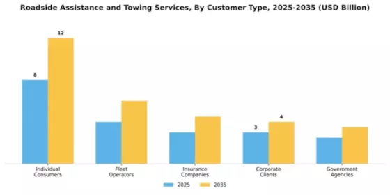 Roadside Assistance and Towing Services Market Segment Image 0