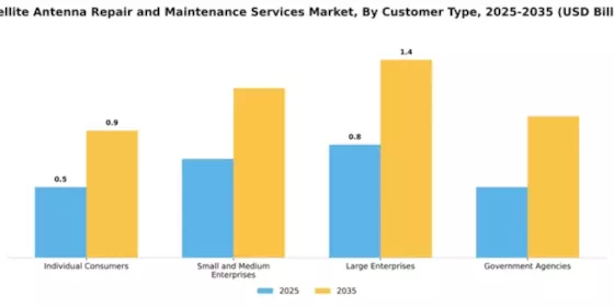 Satellite Antenna Repair and Maintenance Services Market Segment Image 1