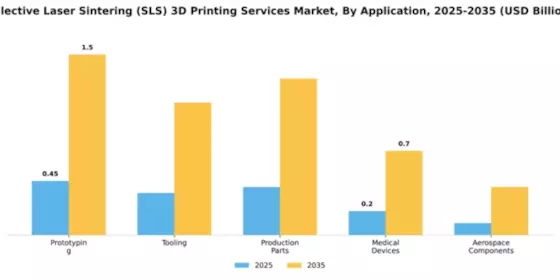Selective Laser Sintering (SLS) 3D Printing Services Market Segment Image 0