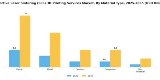 Selective Laser Sintering (SLS) 3D Printing Services Market Segment Image 2