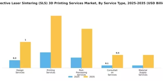 Selective Laser Sintering (SLS) 3D Printing Services Market Segment Image 3
