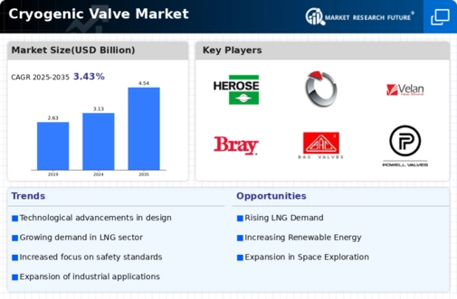Cryogenic Valve Market Infographic