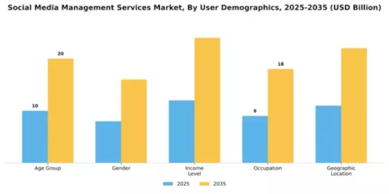 Social Media Management Services Market Segment Image 4