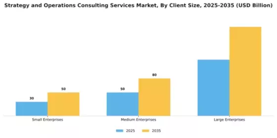 Strategy and Operations Consulting Services Market Segment Image 0