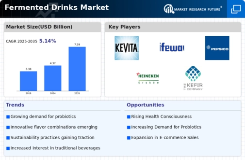 Fermented Drinks Market Infographic