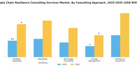 Supply Chain Resilience Consulting Services Market Segment Image 0