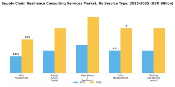 Supply Chain Resilience Consulting Services Market Segment Image 2
