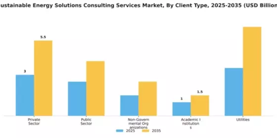 Sustainable Energy Solutions Consulting Services Market Segment Image 1