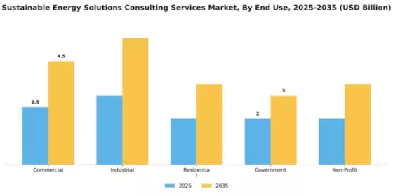 Sustainable Energy Solutions Consulting Services Market Segment Image 2