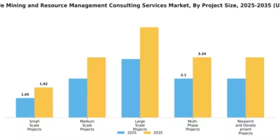 Sustainable Mining and Resource Management Consulting Services Market Segment Image 3
