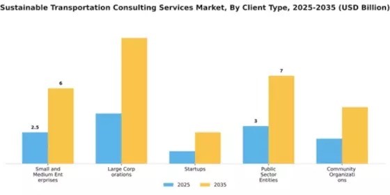 Sustainable Transportation Consulting Services Market Segment Image 1