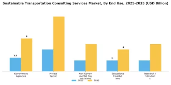 Sustainable Transportation Consulting Services Market Segment Image 2