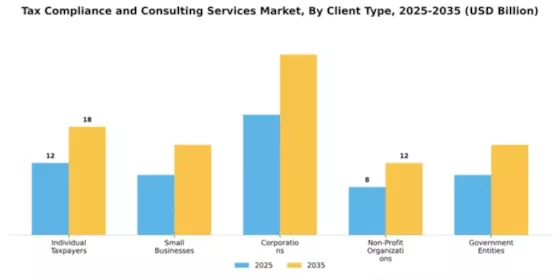 Tax Compliance and Consulting Services Market Segment Image 0