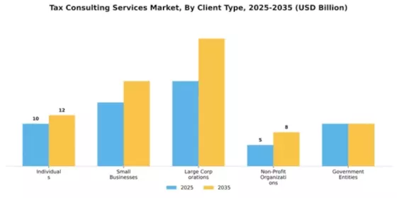 Tax Consulting Services Market Segment Image 0