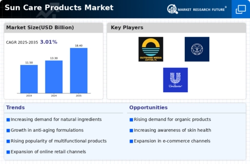 Sun Care Products Market Infographic