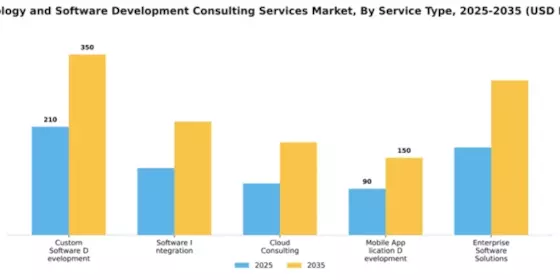 Technology and Software Development Consulting Services Market Segment Image 2
