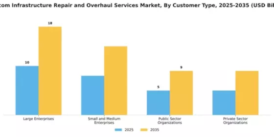 Telecom Infrastructure Repair and Overhaul Services Market Segment Image 1