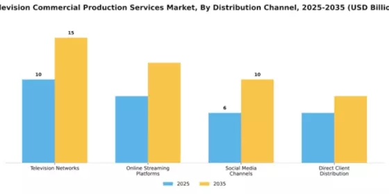 Television Commercial Production Services Market Segment Image 2