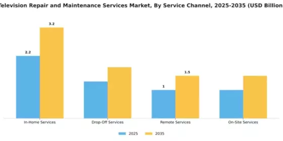 Television Repair and Maintenance Services Market Segment Image 1
