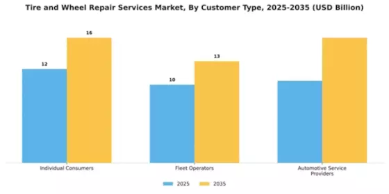 Tire and Wheel Repair Services Market Segment Image 1