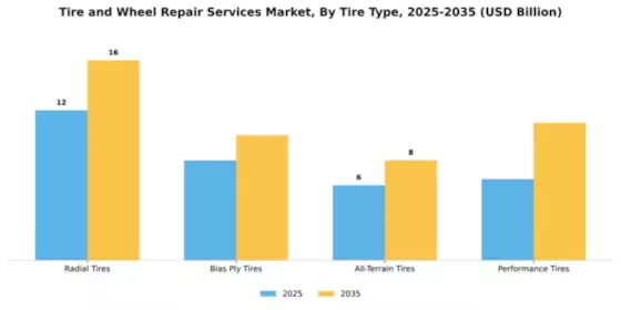 Tire and Wheel Repair Services Market Segment Image 4