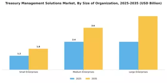 Treasury Management Solutions Market Segment Image 4