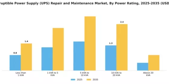 Uninterruptible Power Supply (UPS) Repair and Maintenance Market Segment Image 2