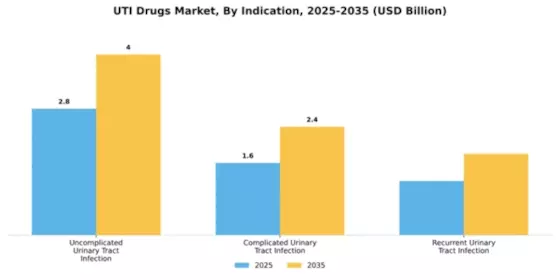 UTI Drugs Market  Segment Image 2