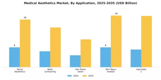 Medical Aesthetics Market Segment Image 0