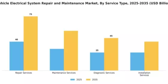 Vehicle Electrical System Repair and Maintenance Market Segment Image 2