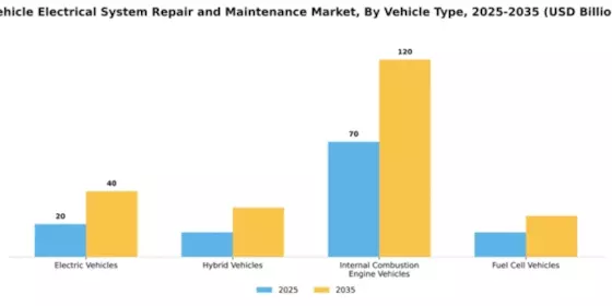 Vehicle Electrical System Repair and Maintenance Market Segment Image 3