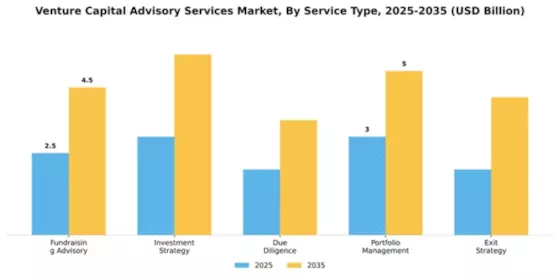 Venture Capital Advisory Services Market Segment Image 3