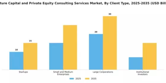 Venture Capital and Private Equity Consulting Services Market Segment Image 0
