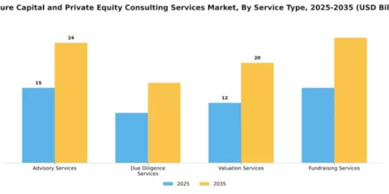 Venture Capital and Private Equity Consulting Services Market Segment Image 3