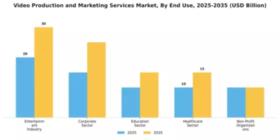 Video Production and Marketing Services Market Segment Image 1