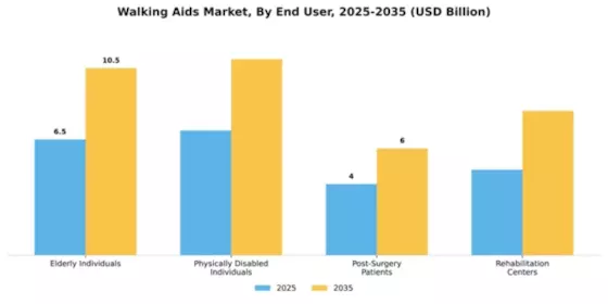 Walking Aids Market Segment Image 1