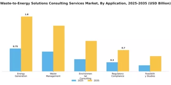 Waste-to-Energy Solutions Consulting Services Market Segment Image 0