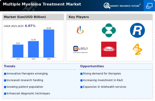 Multiple Myeloma Treatment Market Infographic