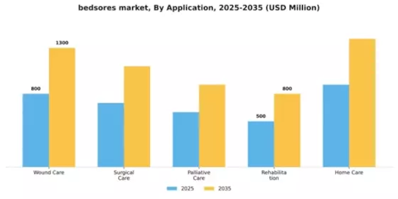 Bedsores Pressure Sores Market Segment Image 0