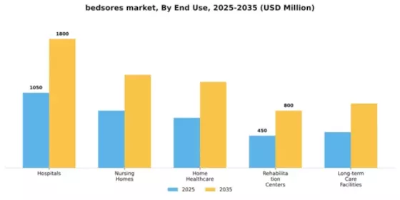 Bedsores Pressure Sores Market Segment Image 1