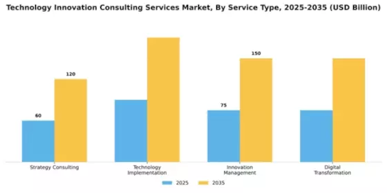 Technology Innovation Consulting Services Market Segment Image 3