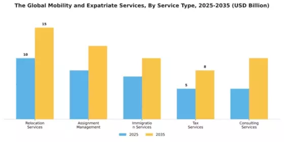 The Global Mobility and Expatriate Services Market Segment Image 3