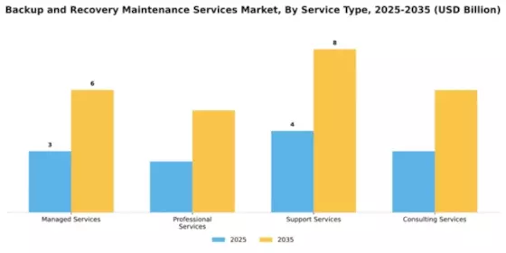Backup and Recovery Maintenance Services Market Segment Image 3