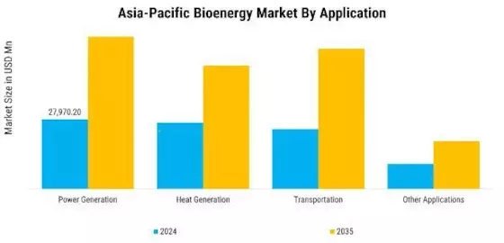 Asia Pacific Bioenergy Market Segment Image 1