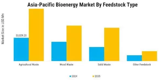 Asia Pacific Bioenergy Market Segment Image 2