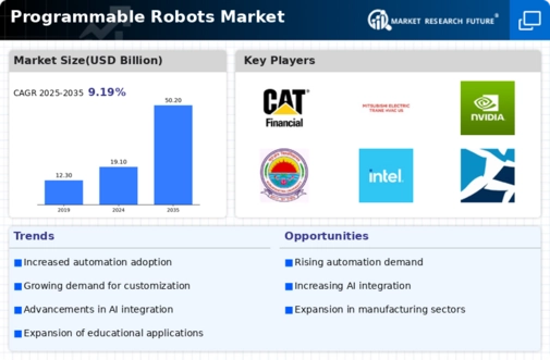 Programmable Robots Market Infographic