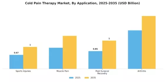 Cold Pain Therapy Market Segment Image 0
