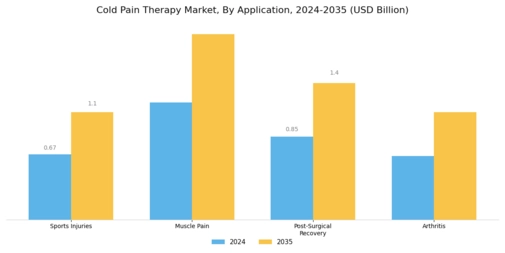 Cold Pain Therapy Market Segment Image 0